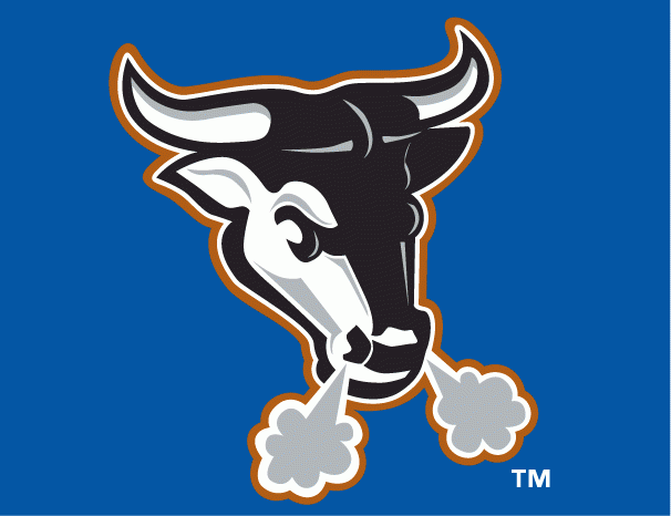 Durham Bulls 2000-2012 Cap Logo iron on transfers for clothing